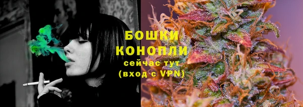 МДПВ Инта