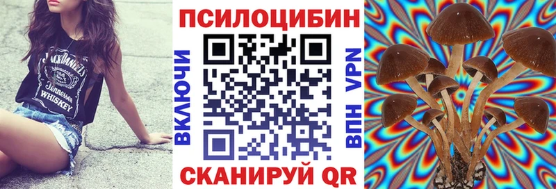 Купить  Чистополь  Псилоцибиновые грибы ЛСД 